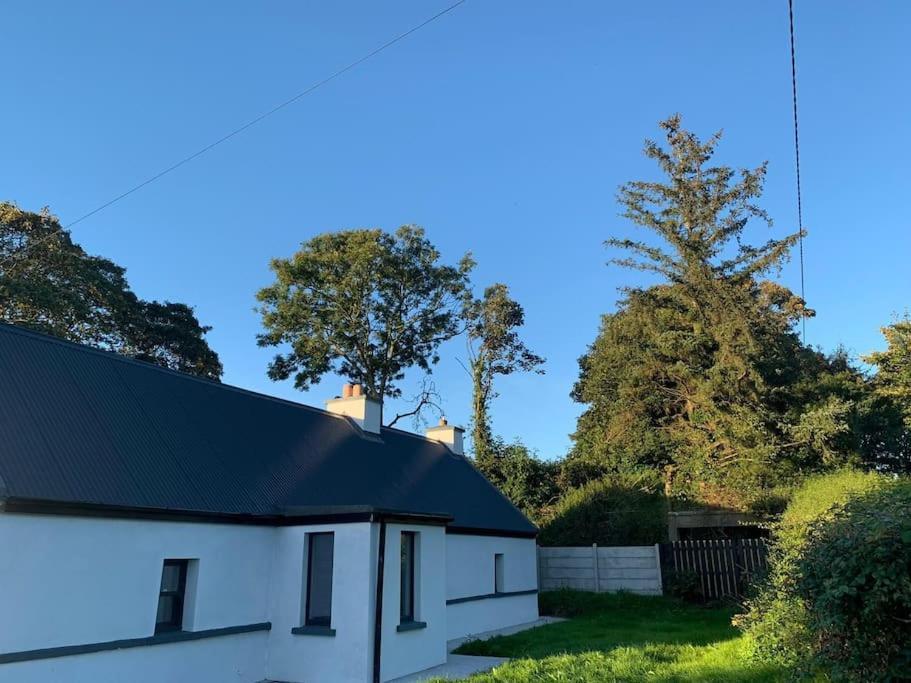 Rose Cottage Killarney Extérieur photo